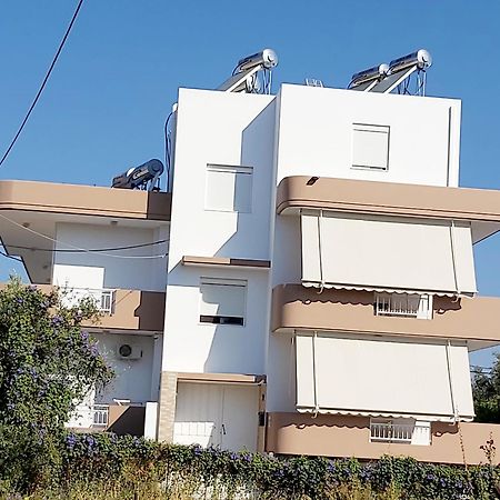 Antonios Apartments Archangelos  Bagian luar foto